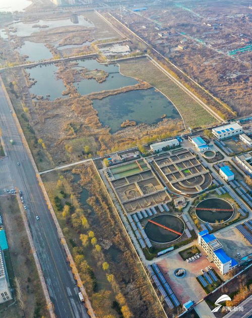 夏津人工濕地 污水處理廠尾水的“生態(tài)凈化器”