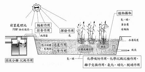 污水處理中磷的去除 人工濕地的應(yīng)用與優(yōu)點(diǎn)