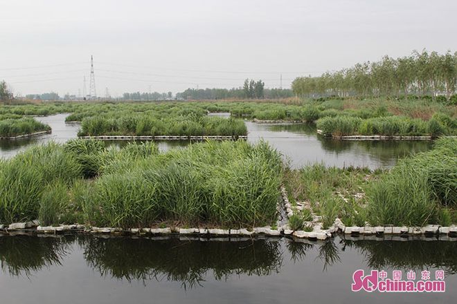 人工濕地助力濟(jì)寧新材料產(chǎn)業(yè)園高質(zhì)量發(fā)展